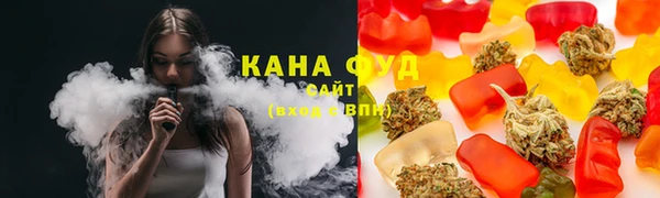 хмурый Надым