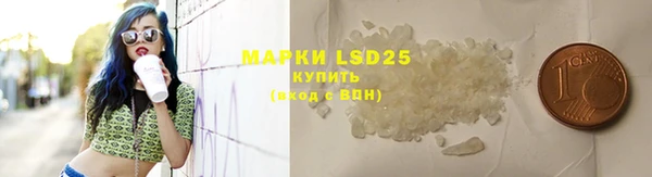 хмурый Надым
